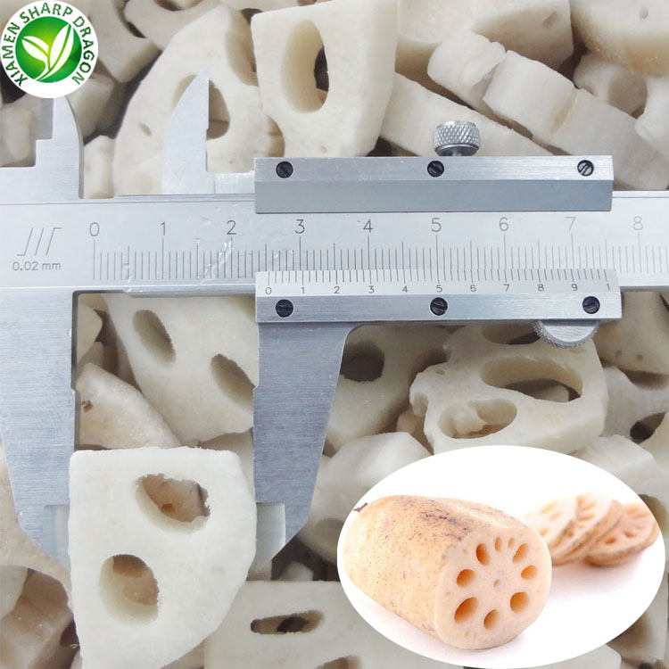 IQF Wholesale Sliced and Diced Vegetable Processing Line Bulk Frozen Lotus Root