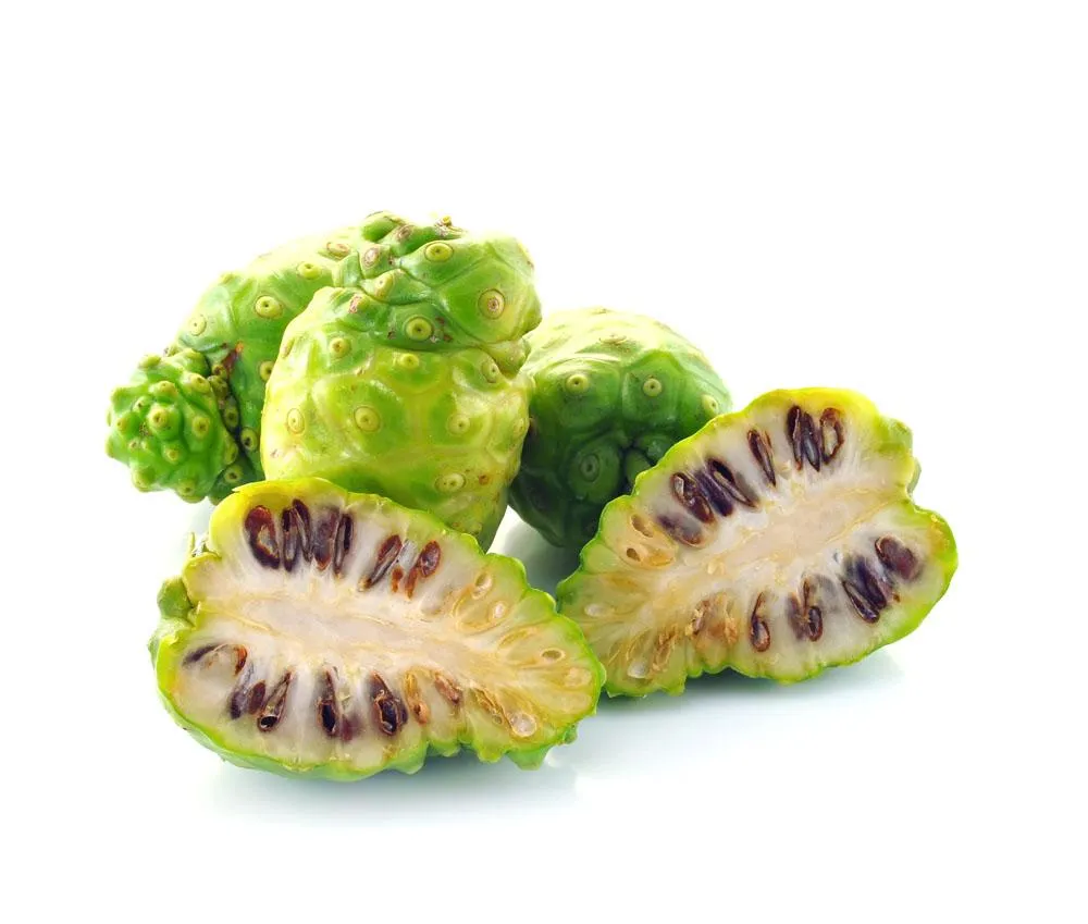 ISO Certified Natural Noni Powder