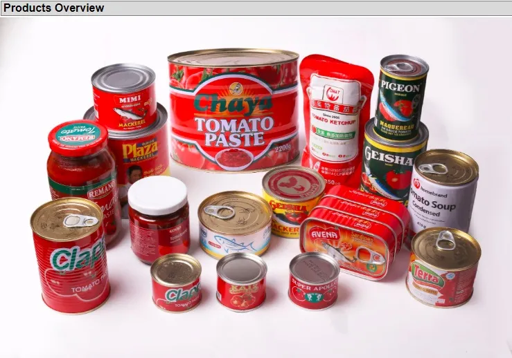 Manufacture 125g*50tins Cheap Canned Sardines Morocco Exports