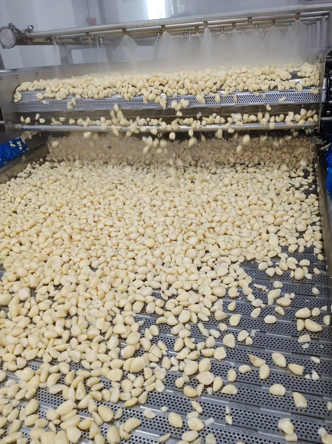 Manufacture for IQF Frozen Garlic Cloves From China Brc a Factory