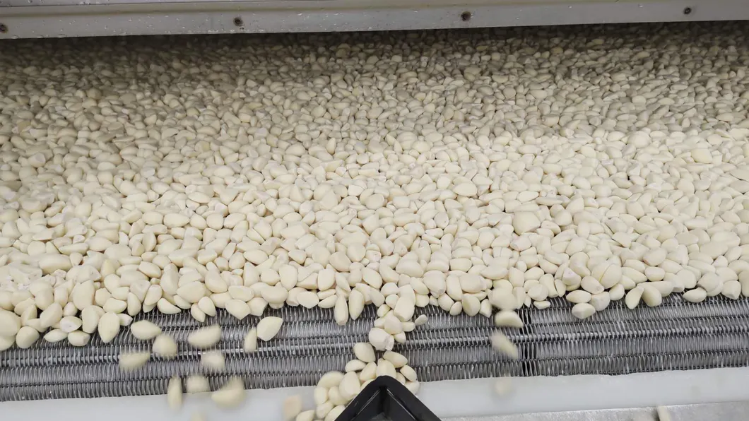 Manufacture for IQF Frozen Garlic Cloves From China