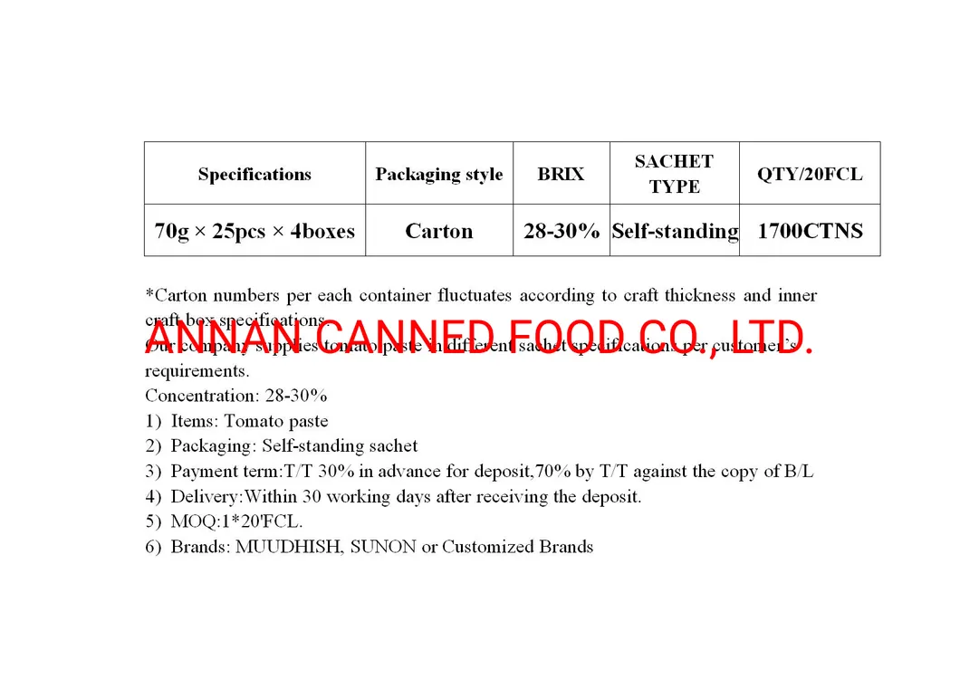 Muudhish Brand Tomato Paste in Self-Standing Pouch Irregular Shape 70g