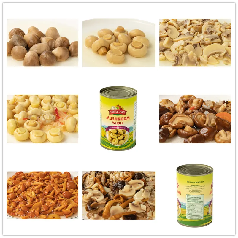 New Crop Brined Mushroom in Drum, Brined Mushroom, Brined Champignons