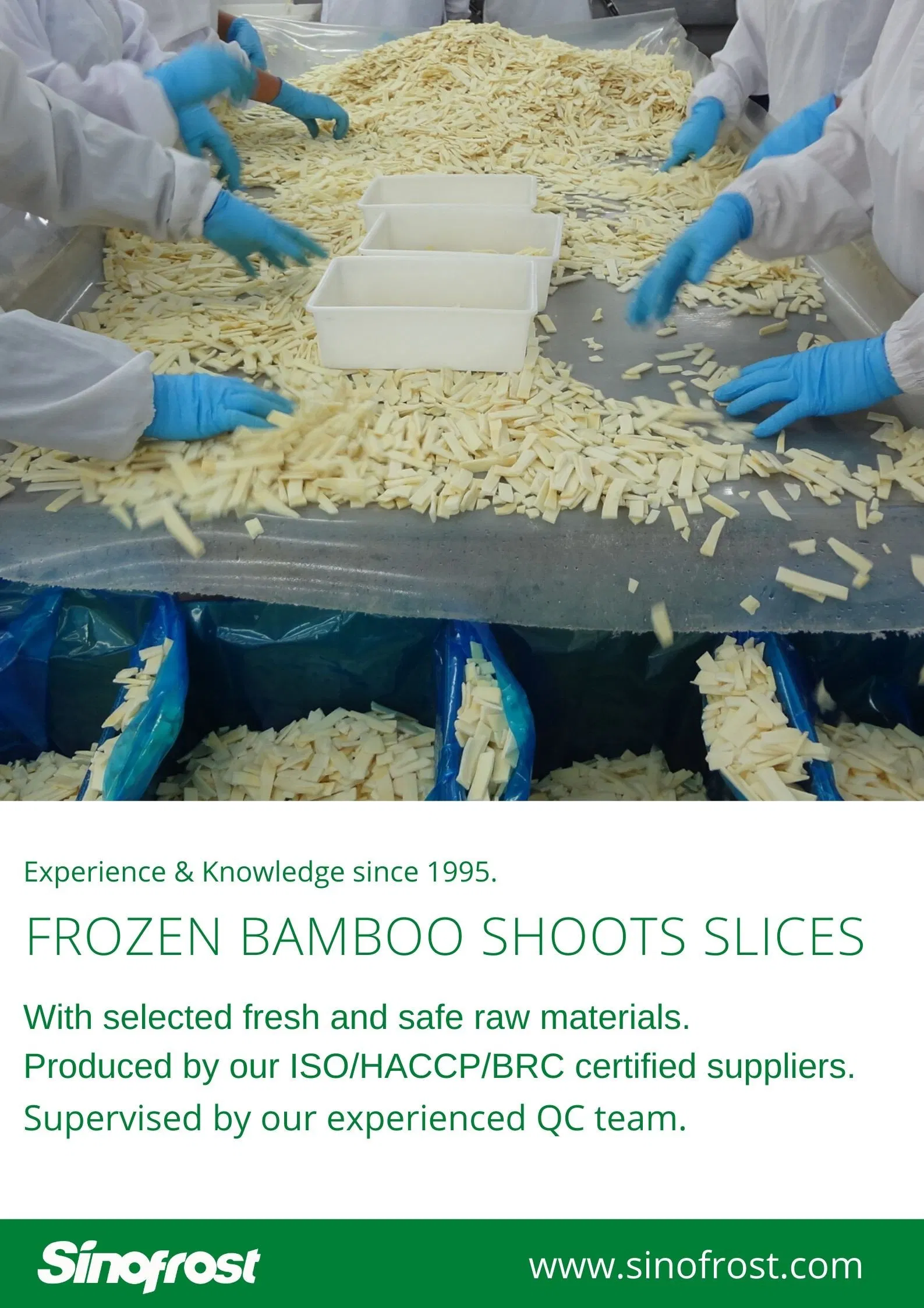 New Crop, Frozen Bamboo Shoot Dices, Frozen Bamboo Shoots Dices, IQF Diced Bamboo Shoots, Frozen Diced Bamboo Shoots, IQF Bamboo Shoots Dices