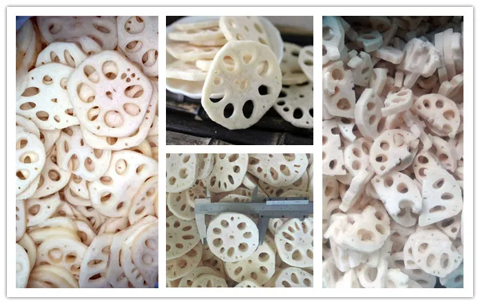New Crop Frozen Sliced Lotus Root for Exporting and Frozen Vegetables