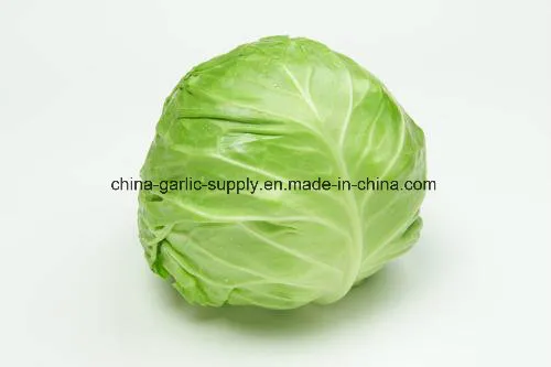 New Crop Natural Fresh Flake Granules Air Dehydrated Frozen Cabbage