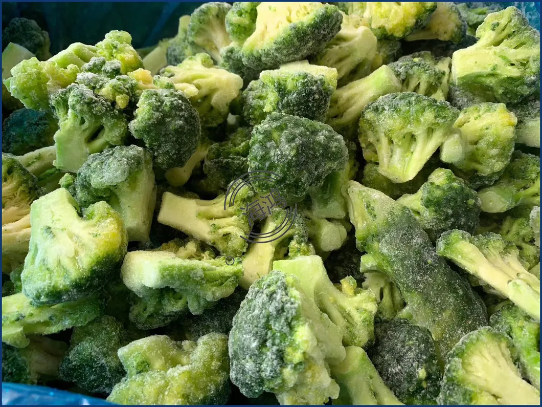 New Crop Season Frozen Broccoli Grade a Level Quality