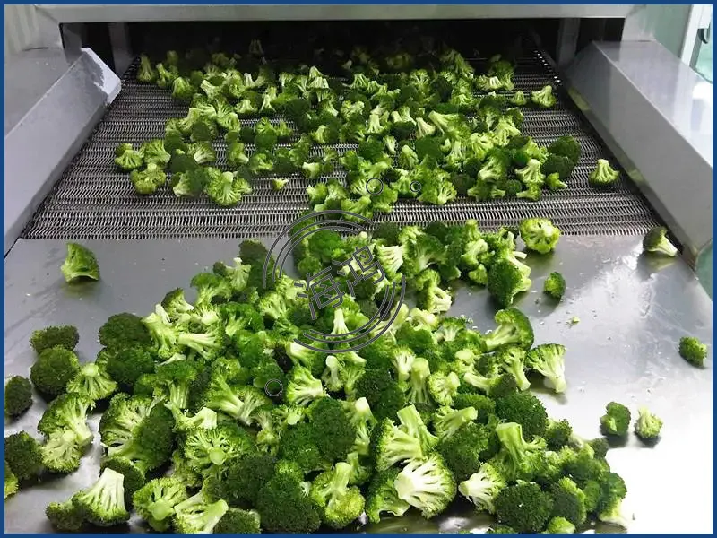 New Crop Season Frozen Broccoli Grade a Level Quality