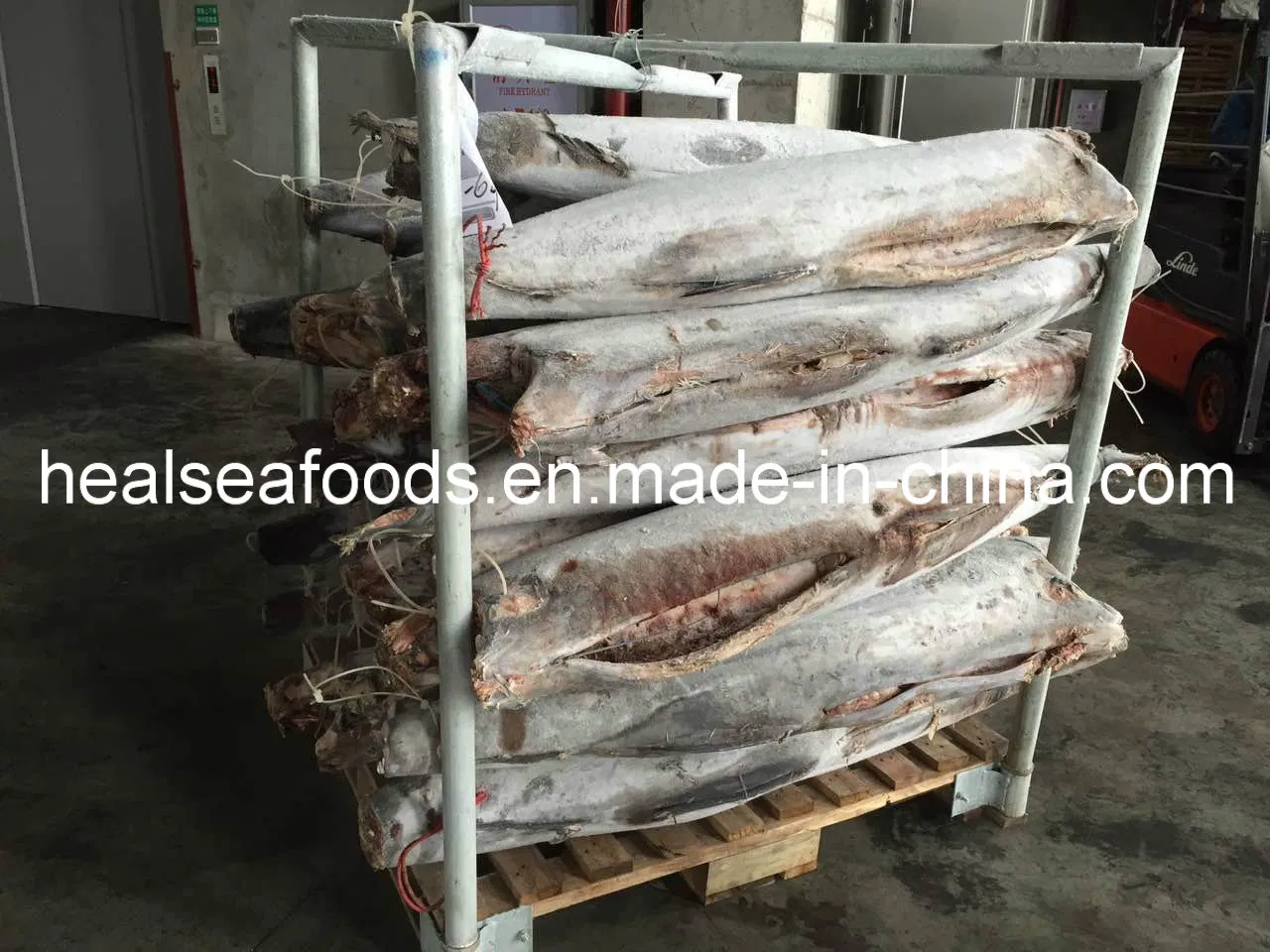 New Landing Sea Frozen Fish Black Marlin on Sale 25kg up