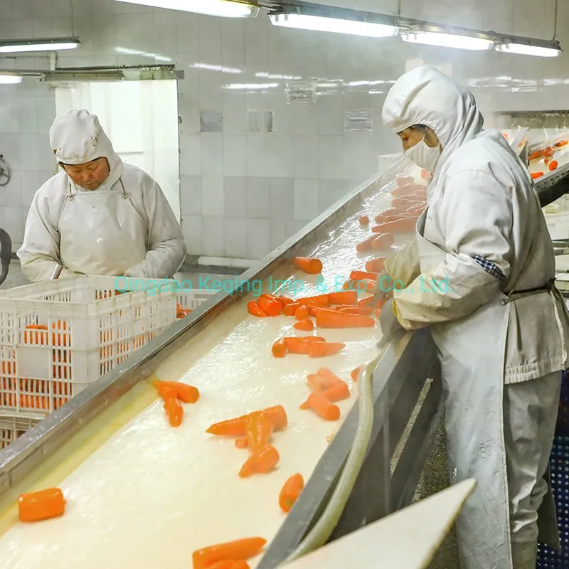 Organic Mixed Vegetables Frozen Mixed Vegetables Factory Frozen Vege ISO/HACCP/Brc/Kosher/Halal