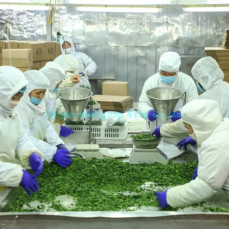 Organic Mixed Vegetables Frozen Mixed Vegetables Factory Frozen Vege ISO/HACCP/Brc/Kosher/Halal