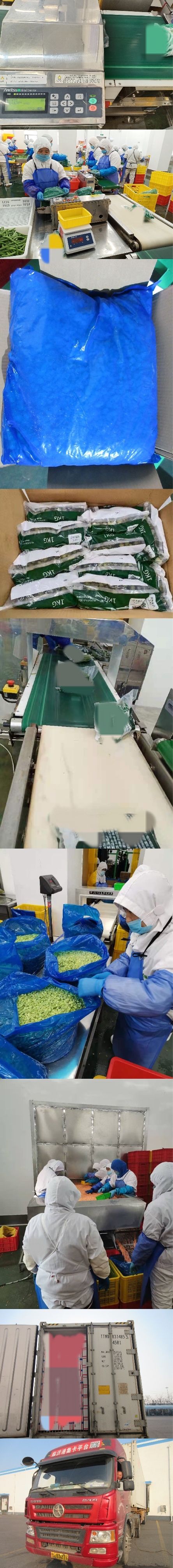 Processing Factory of Frozen Vegetables and Fruits, IQF Frozen Green Asparagus of Spring Crops, Dia 16-22mm, 17cm Long, Frozen Vegetables
