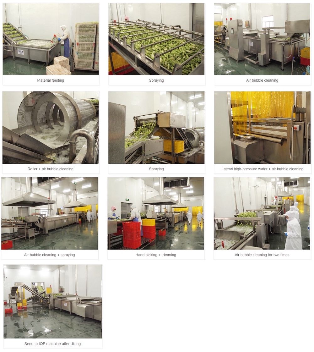 Processing Factory of Frozen Vegetables and Fruits, IQF Frozen Green Asparagus of Spring Crops, Dia 16-22mm, 17cm Long, Frozen Vegetables
