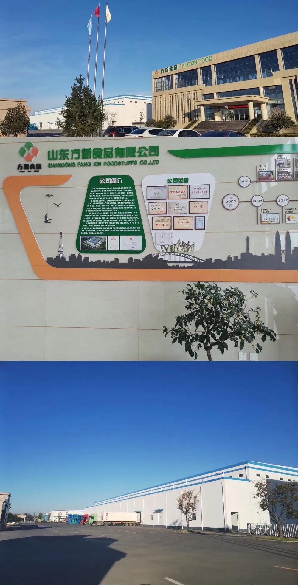 Processing Factory of Frozen Vegetables and Fuits, Shandong Fangxin Food, IQF Frozen Green Asparagus of Spring Crops, 16-22mm, 17cm Long, Frozen Vegetables