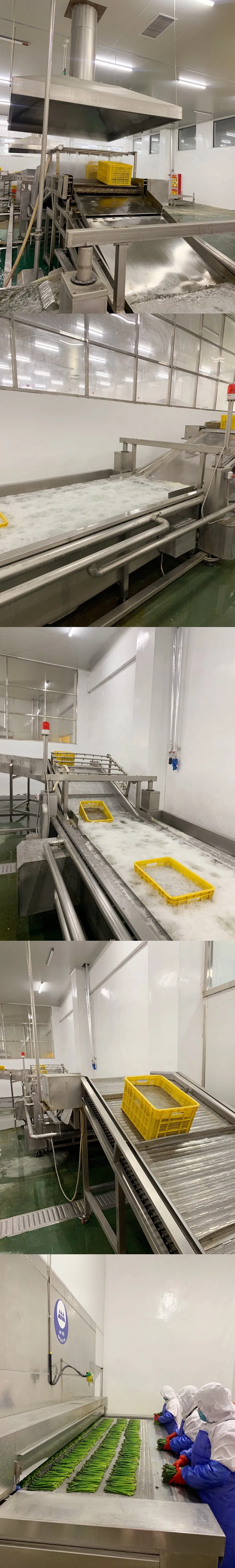 Processing Factory, Shandong Fangxin Food, IQF Frozen Green Asparagus of Spring Crops, 16-22mm, 17cm Long, Frozen Vegetables