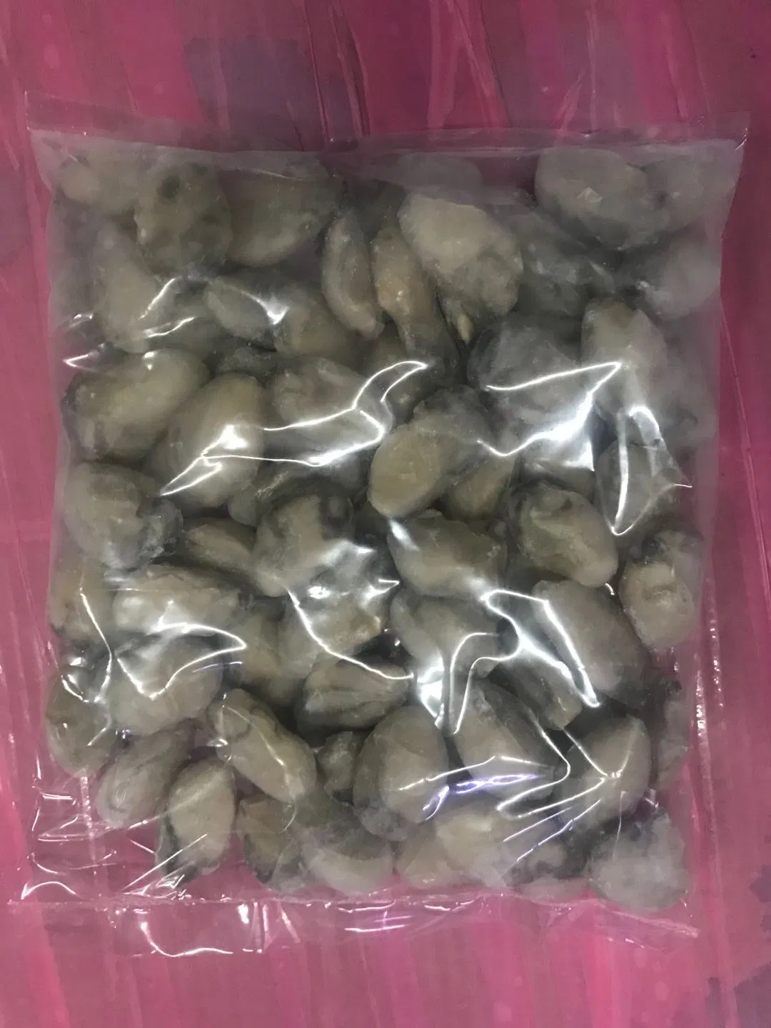 Professional Manufacturer The Best China Fresh Oyster Meat for Wholesal