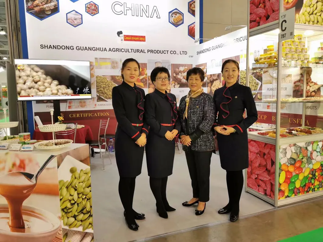 Roasted and Salted Broad Bean Blanched Half New Crop Delicious