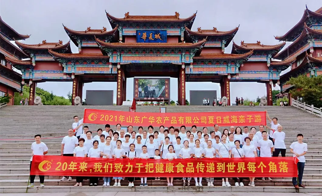 Roasted and Salted Broad Bean Blanched Half New Crop Delicious