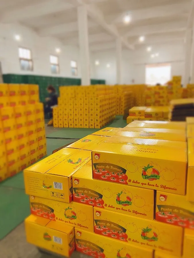 Sachet Tomato Paste Seasonings with OEM Brand