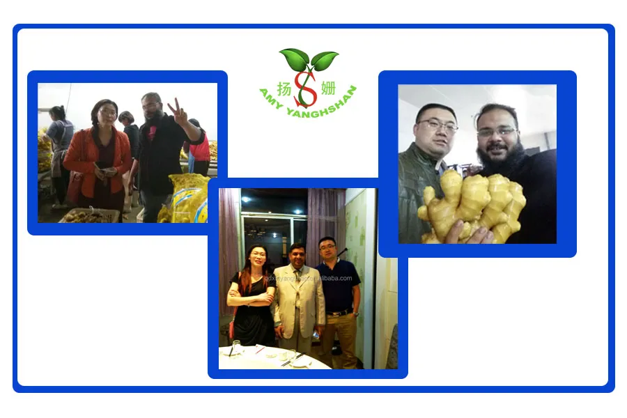 Sardine Fish in Brine Pack in 125g/115g Customize Brand