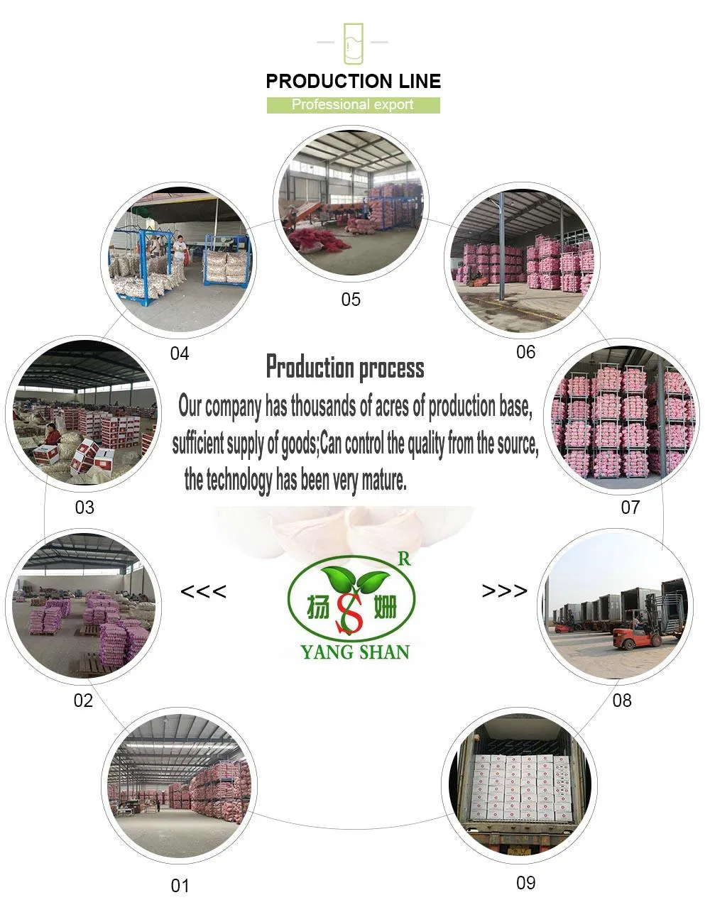 Sardine Fish in Brine Pack in 125g/115g Customize Brand