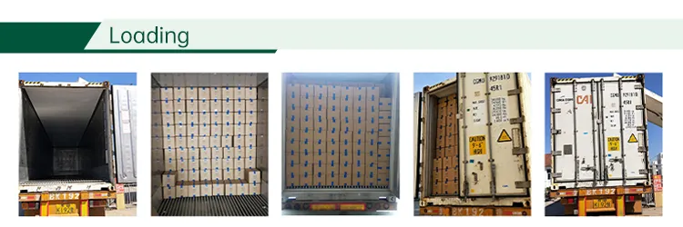Sinocharm Brc-a Approved IQF Frozen Fried Eggplant Blocked