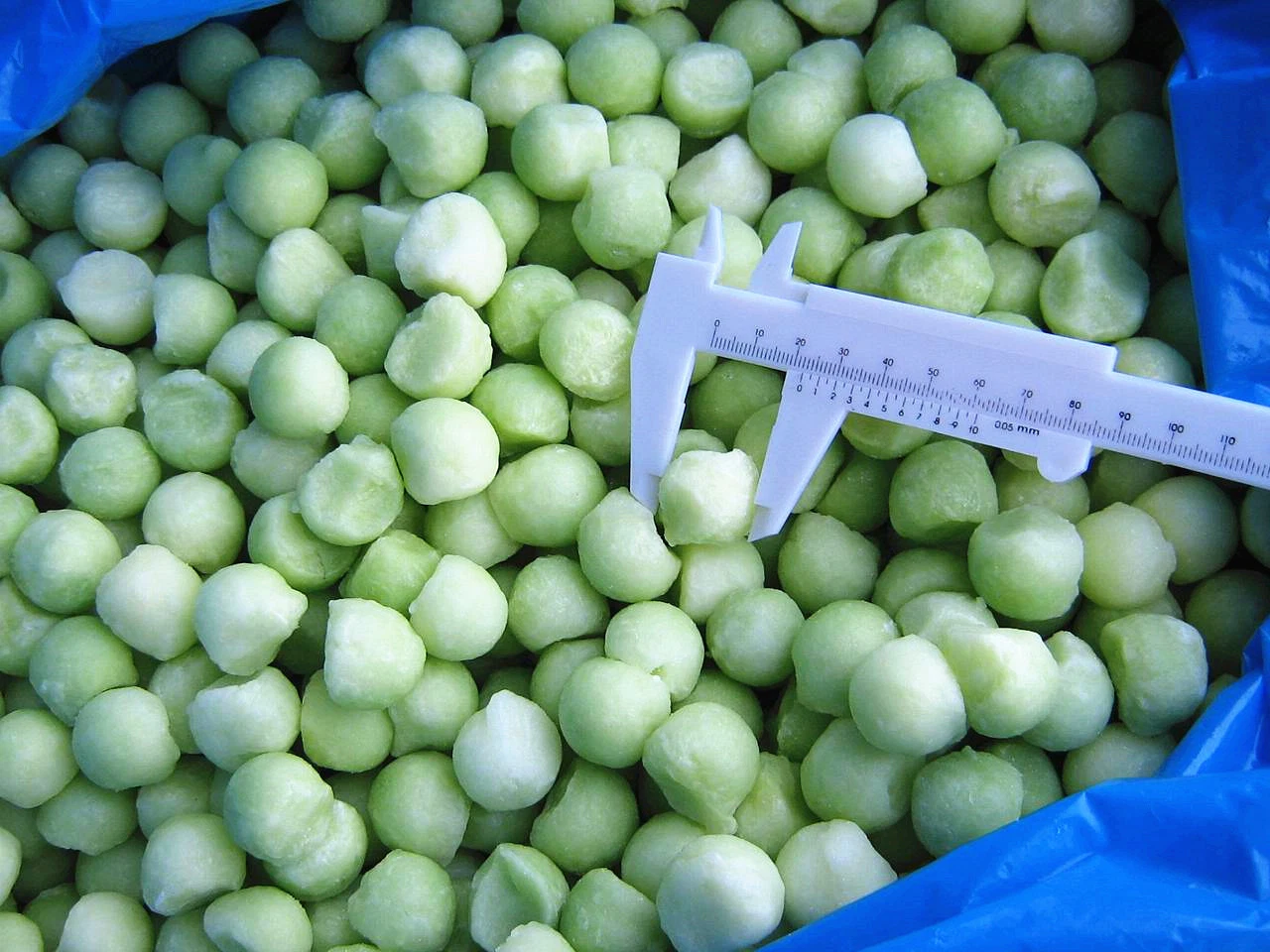 Sinocharm Brc a Approved IQF Honeydew Melon Balls Frozen Honeydew Melon
