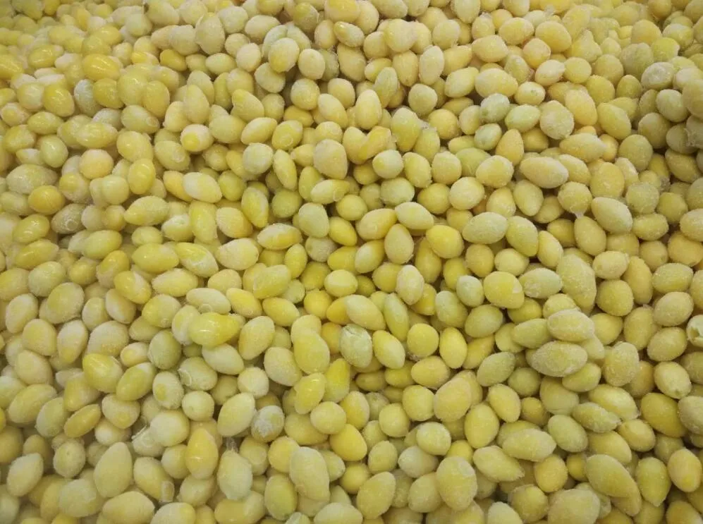 Sinocharm Chinese Ginko Nut IQF Frozen Ginkgo Nut Frozen Gingko