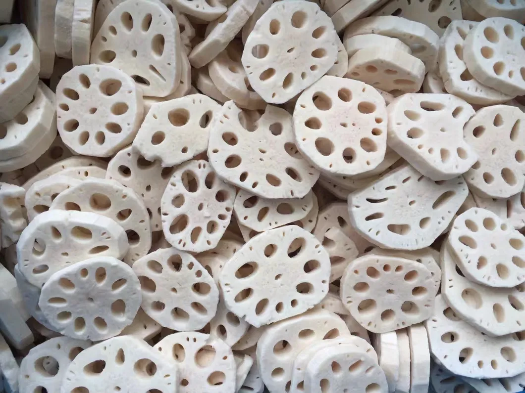 Sinocharm IQF Root Vegetables Frozen Lotus Root Whole