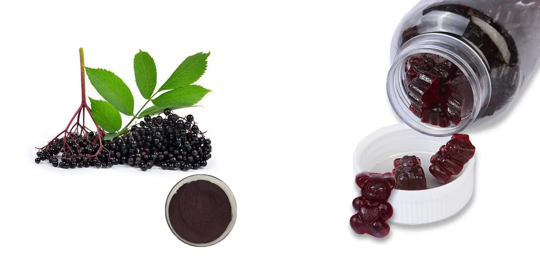SOST Private Label Natural Fruit Flavor Elderberry Vitamin C Gummies