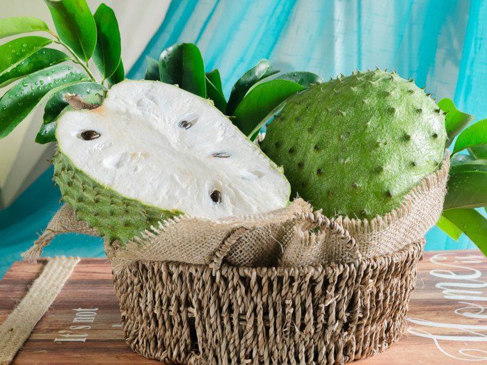 Soursop Juice Drink 500ml Canned