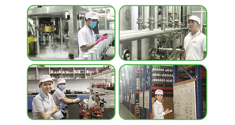 Soursop Juice Drink 500ml Canned Supplier