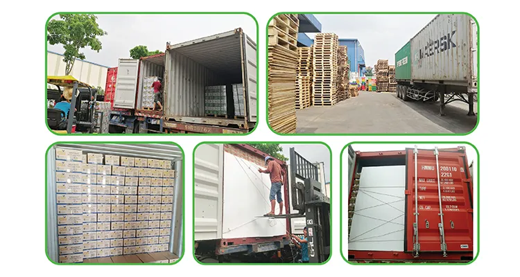 Soursop Juice Drink 500ml Canned Supplier