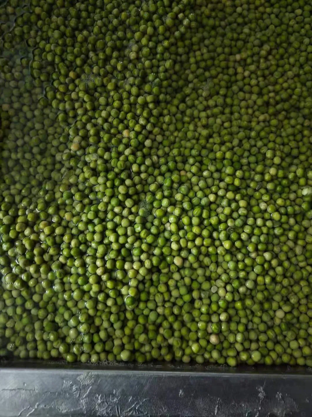 Split Green Peas