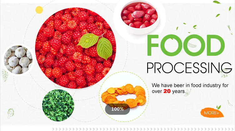 Supplier of Top Chinese Natural New Crops, Competitive Prices, Frozen Red Kidney Beans