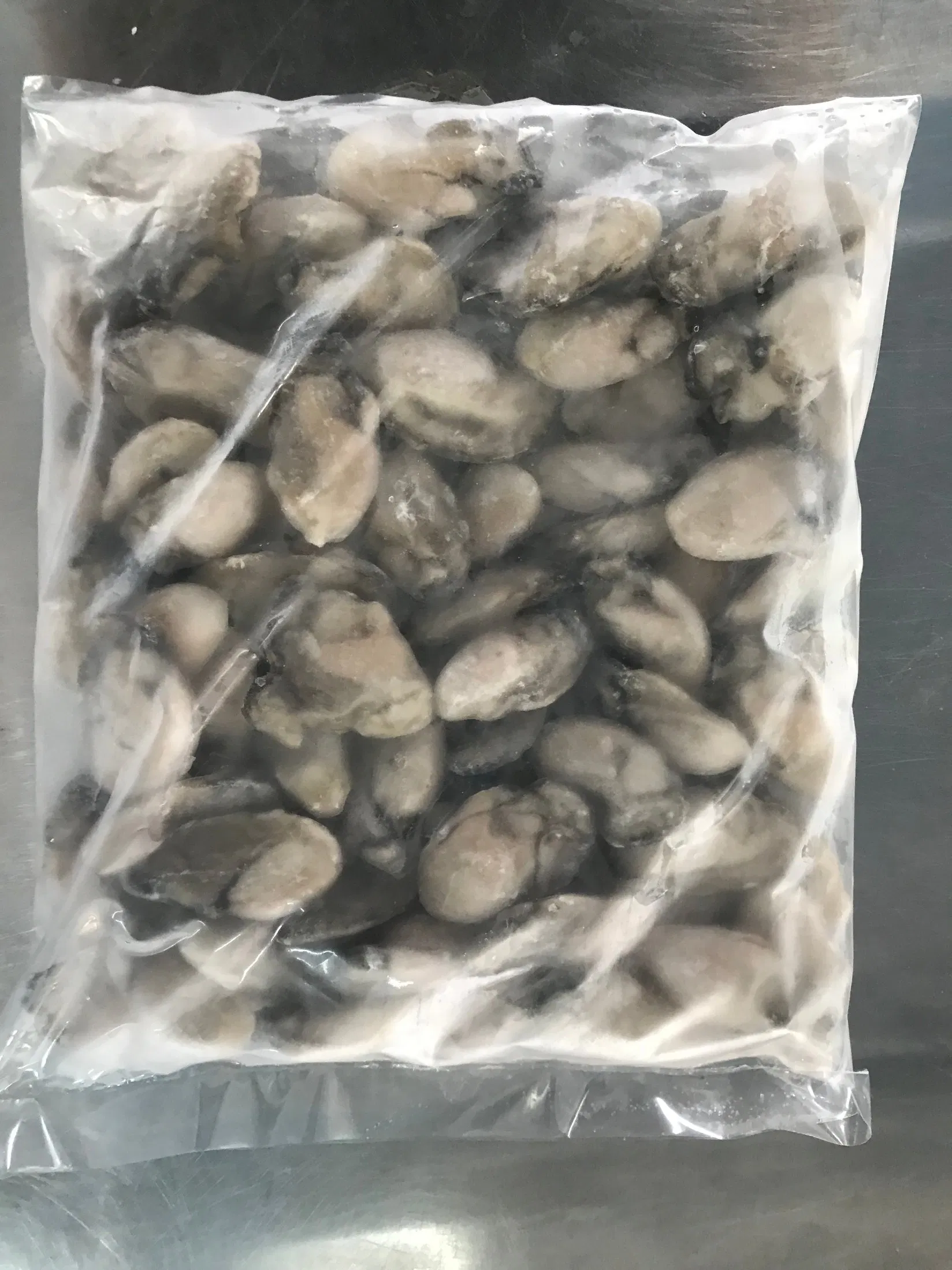 Supplier Sales Wholesale Clam Oyster Frozen Mussels Price
