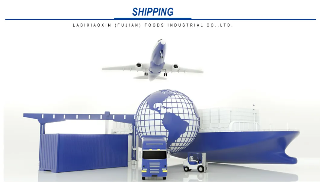 Sweet Fruit Flavor Candy Chewing Bubble Gum in Jar From Laree Factory