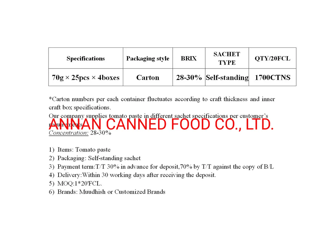 Tomato Paste 70g Self-Standing Sachet 28-30% Muudhish, Good Quality
