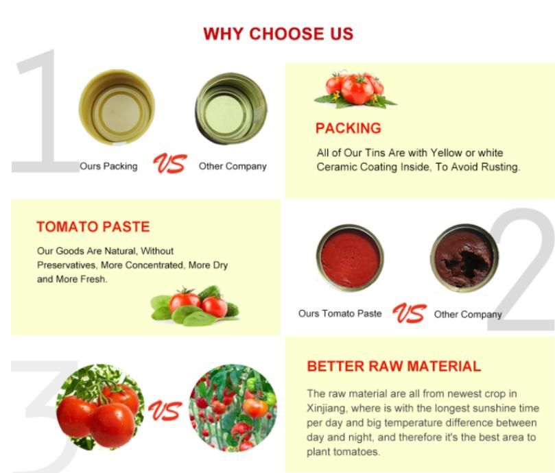 Tomato Paste for Uganda Tomato Sauce China Supplier Tomato Ketchup Sebo Brand 28-30% Concentration