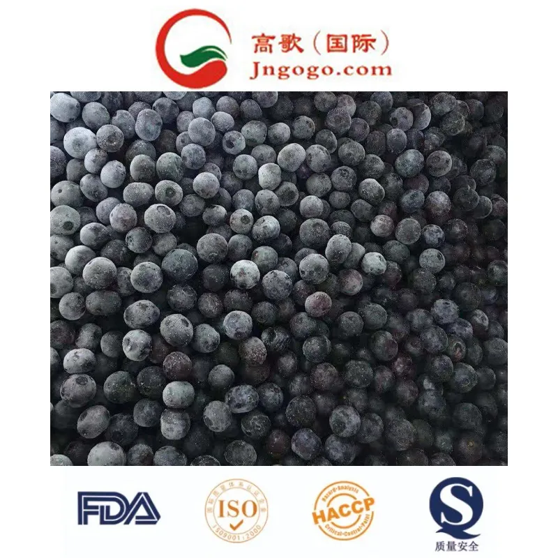 Top Quality Frozen Blueberry with Good Price IQF