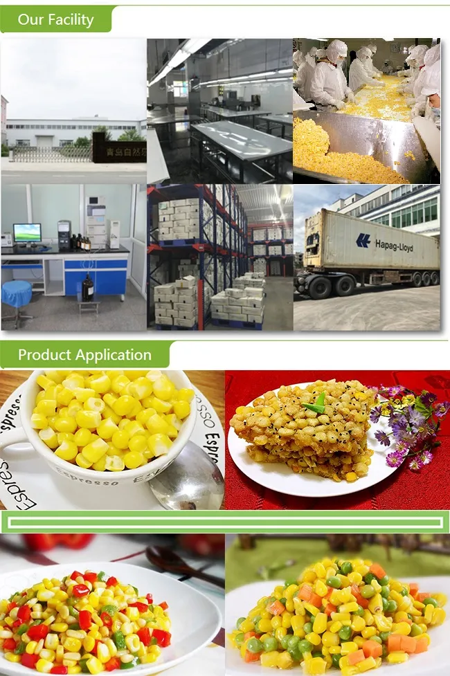 Top Quality Frozen Whole Sweet Corn COB