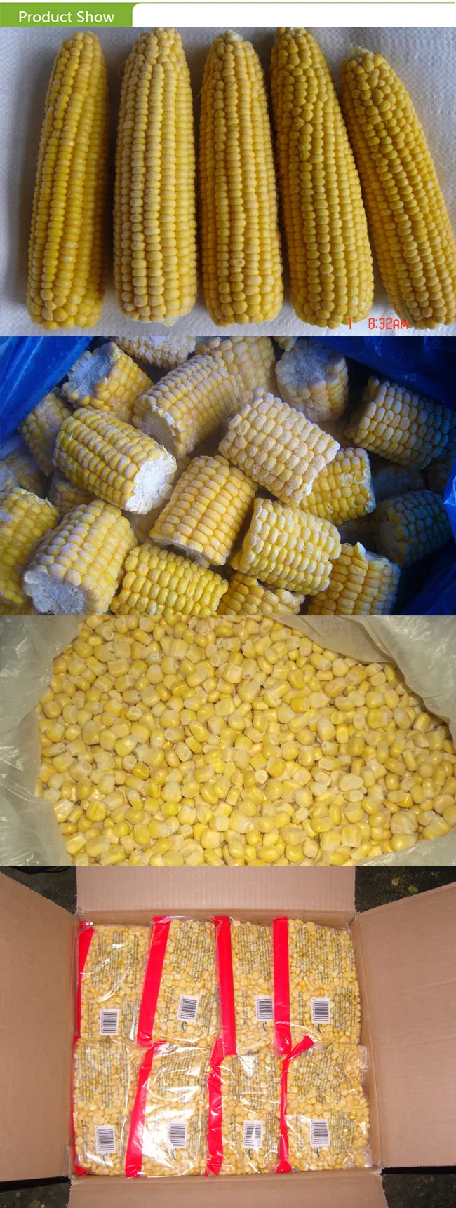 Top Quality Frozen Whole Sweet Corn COB