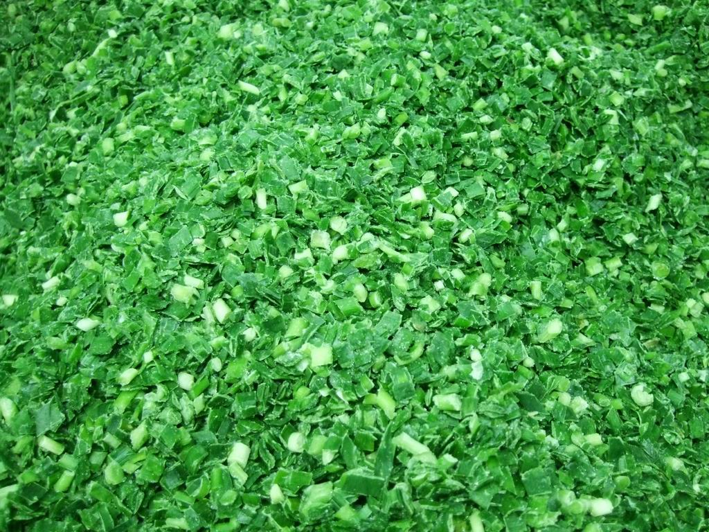 Top Quality with Excellent Flavor Frozen Leek IQF Chive