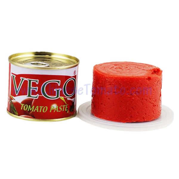 Vego Canned Tomato Paste Tomato Sauce Tomato Ketchup