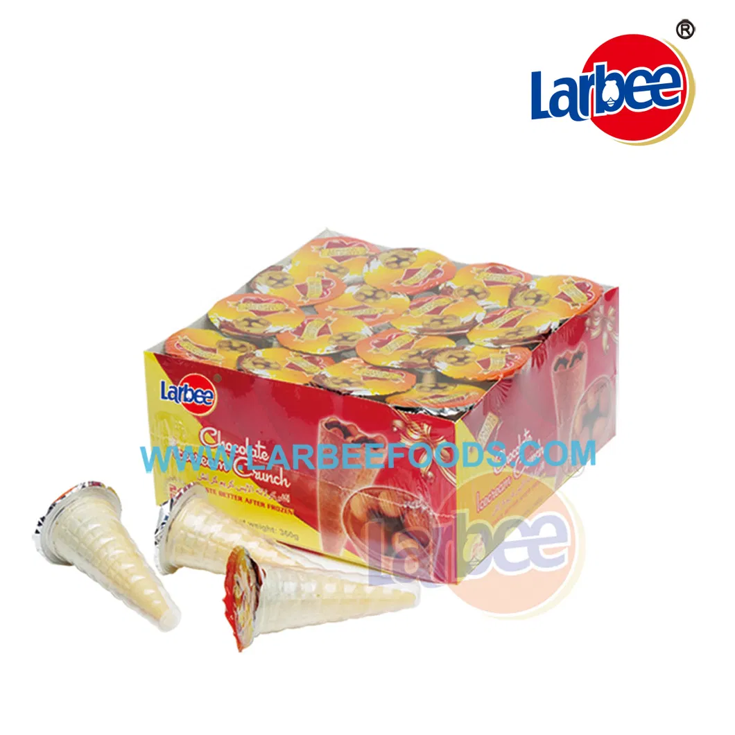 Yummy 15g Ice Cream Cone Cup Biscuits Chocolate for Kids